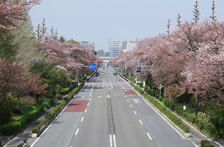 中央線多摩