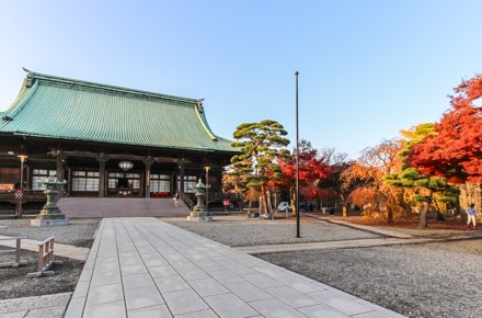 護国寺・茗荷谷