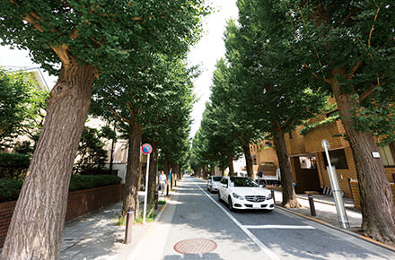経堂･成城