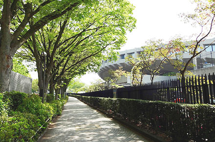 代々木公園