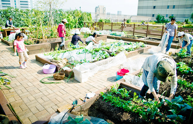 恵比寿駅直結のビル屋上で野菜づくり 休日に手ぶらで寄り道 マイ農園 Cowcamo Magazine