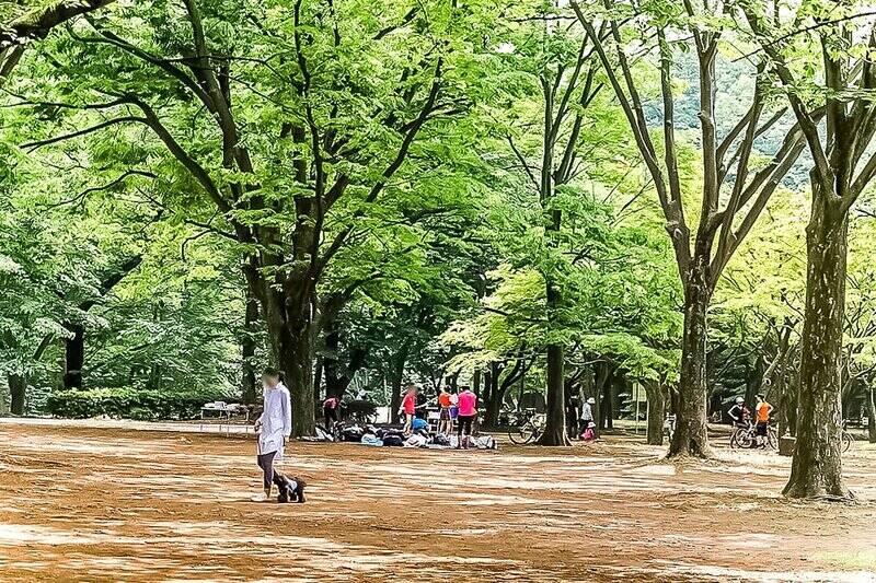 写真