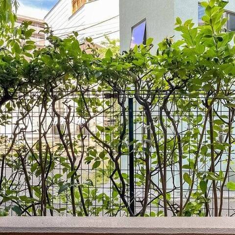 ライオンズステージ渋谷松見坂の室内写真