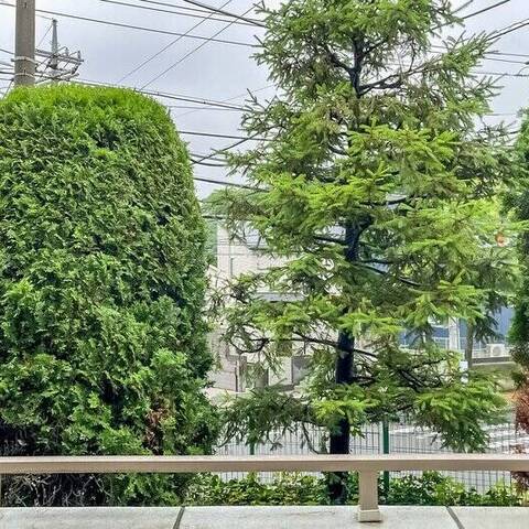 東急ドエルウィンディコートたまプラーザA棟の室内写真