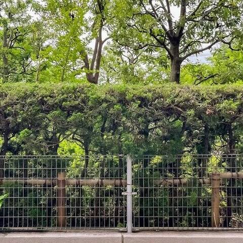 イトーピア綱島コンドミニアムの室内写真