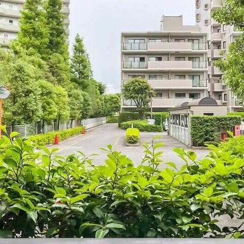 イトーピア綱島コンドミニアムの室内写真