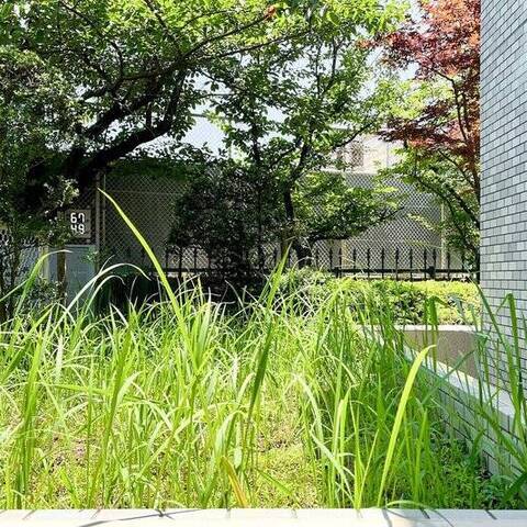 たまプラーザ東パークホームズの室内写真
