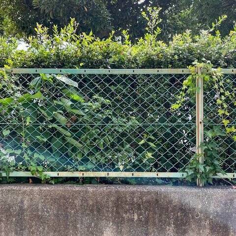 菊名ハイツ(3〜4号館)の室内写真