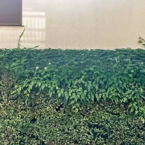 コープ野村志村3丁目の室内写真
