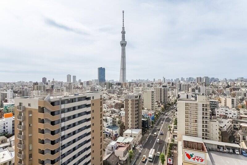 大きな空の木の下で | 墨田区東向島(曳舟駅)の取材記事【cowcamo】