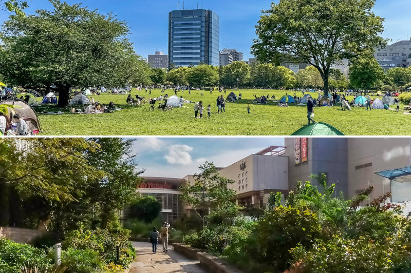 <p><b>上・</b>「木場」と言えばやはり「木場公園」。ピクニックやバーベキューが楽しめるほか、ワンちゃんもうれしい<b>テニスコートおよそ８面分のドッグラン付き</b>の公園です。（徒歩３分）／<b>下・</b>駅すぐそばの複合施設「深川ギャザリア」には、イトーヨーカドーやユニクロ、家電量販店、映画館などお店が多数。生活必需品はひと通りここで揃いますよ！（徒歩10分）</p>