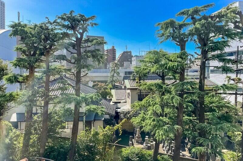 眺望は敷地内のグリーンと青い空。右手はお寺なので、高い建物が建つ可能性は低そうです。