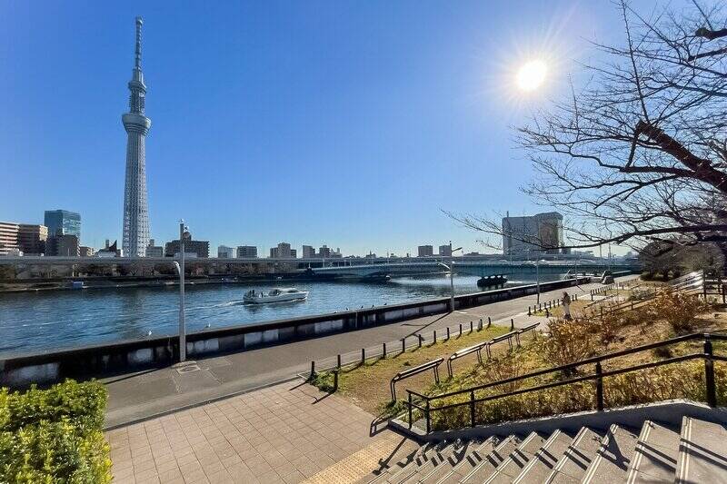 今回ご紹介する物件の目の前に広がる「台東区立 隅田公園」（徒歩１分）。