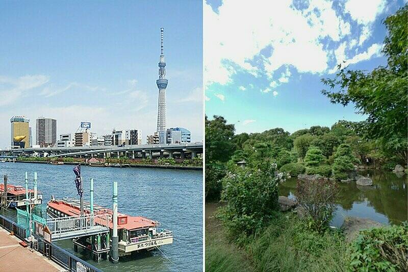 今回の舞台は隅田川が流れる <b>“浅草・押上エリア”</b>。緑豊かな「隅田公園」の隣にマンションは立地しています。