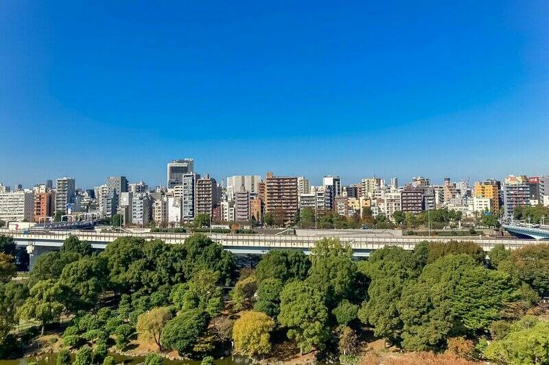 隅田公園や隅田川、ビル群を望みます。ぽっかりと広がる景色でとっても爽快です！