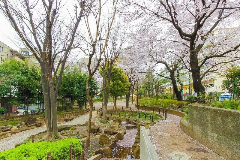マンションの斜向かいにある「幡ヶ谷第三公園」。夏は水遊びができ、春は桜が満開です♡（徒歩１分）