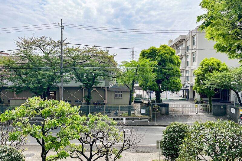 ２階所在の住戸からは街路樹が並ぶ気持ちのいい眺め。春は桜も楽しめるようです。道路を挟んだ先は2024年4月現在学区指定の「大豆戸小学校」です。