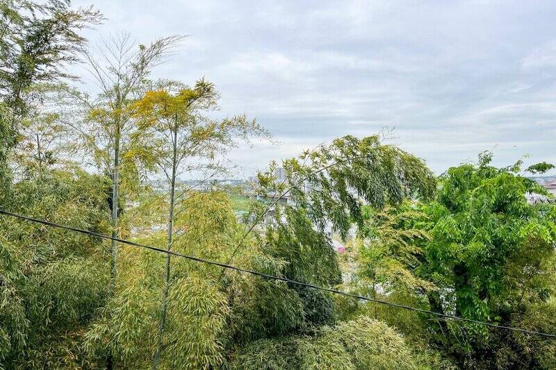 目の前には国分寺崖線の生い茂る緑。空も広く見渡せます。