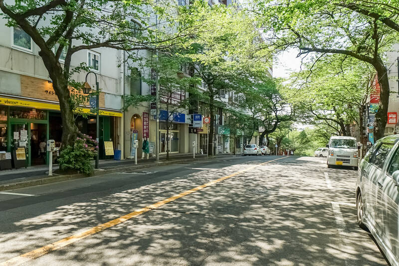 マンションから駅方面に歩くと、木漏れ日の綺麗な通りに差し掛かりました。この通り沿いの坂は「春待坂」と呼ばれ、春になると桜が美しいんだとか。