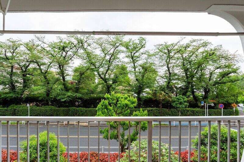 住戸が所在するのは２階。ちょうど目線の高さに桜並木があり、いい眺め〜！