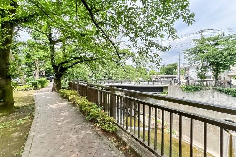 <p>マンションのすぐ近くを流れる石神井川沿いの緑豊かな遊歩道。<b>春にはお花見が楽しめます！</b></p>