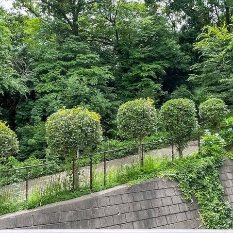 コスモ綱島台2号館の室内写真