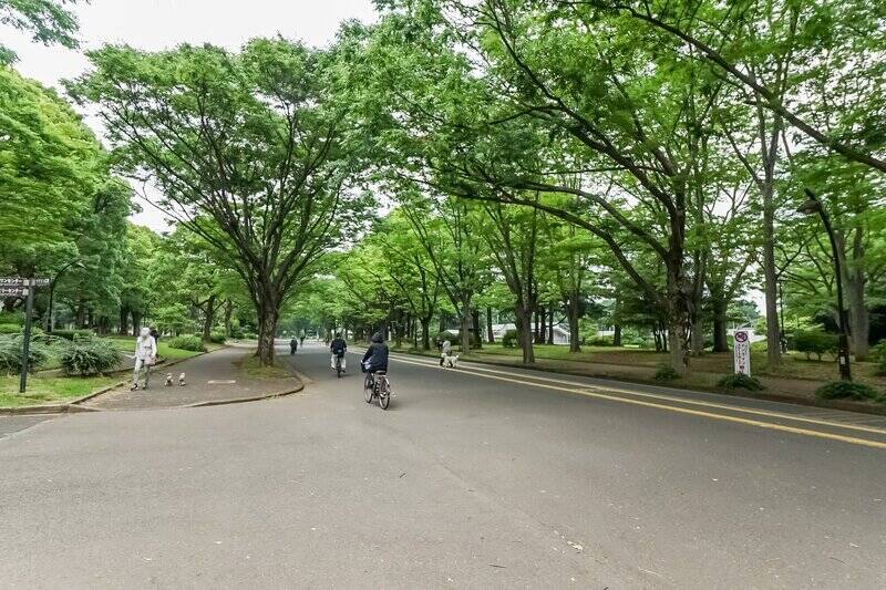 リフレッシュしたい時は、「駒沢公園」（徒歩15分）へ。自然に触れられるのはもちろん、ドッグランがあるのでペットのお散歩にもぴったり。