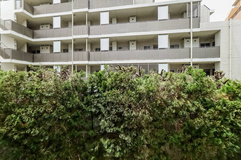 植栽の向こうにお隣のマンションがドンと立っています。眺望の抜け感はありませんが、距離が取れているので圧迫感はありませんでした。共用廊下側なのでそこまで視線が気になることもなさそうです。