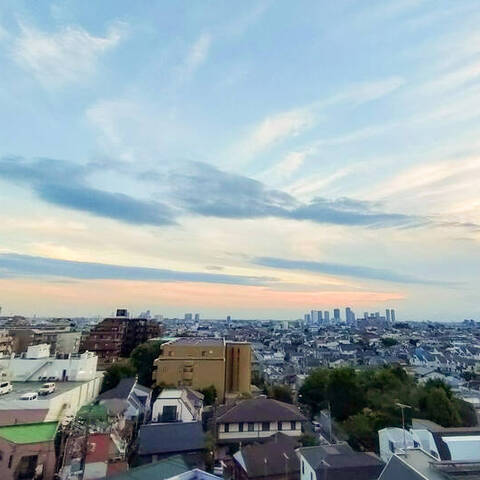 上池台スカイマンションの眺望・バルコニー写真