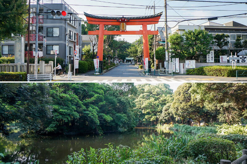 <b>上・</b>マンション前の通りを東に進むと、大きな鳥居が。こちらは「大宮八幡宮」。交通安全や安産にご利益がある神社として知られています。（徒歩３分）／<b>下・</b>神社を抜けると見えてくるのが「和田堀公園」。広いグラウンドやバーベキュー場があるほか、豊かな自然に囲まれた池まで。都会の喧騒を忘れられる、癒しスポットです。（徒歩11分）