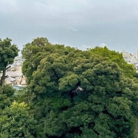 中央マンションの室内写真