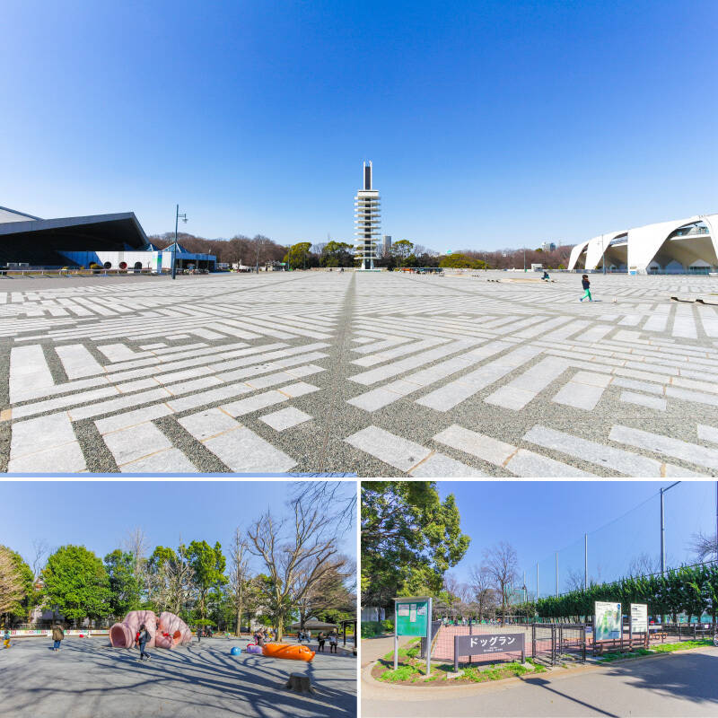 マンションの近くには、自然と触れ合える「駒沢オリンピック公園」が。お子さまを連れて遊びに出かけるもよし、ペットを連れてのお散歩にもよし。ランニングコースが用意されているので、運動をすることも◎（徒歩４分）