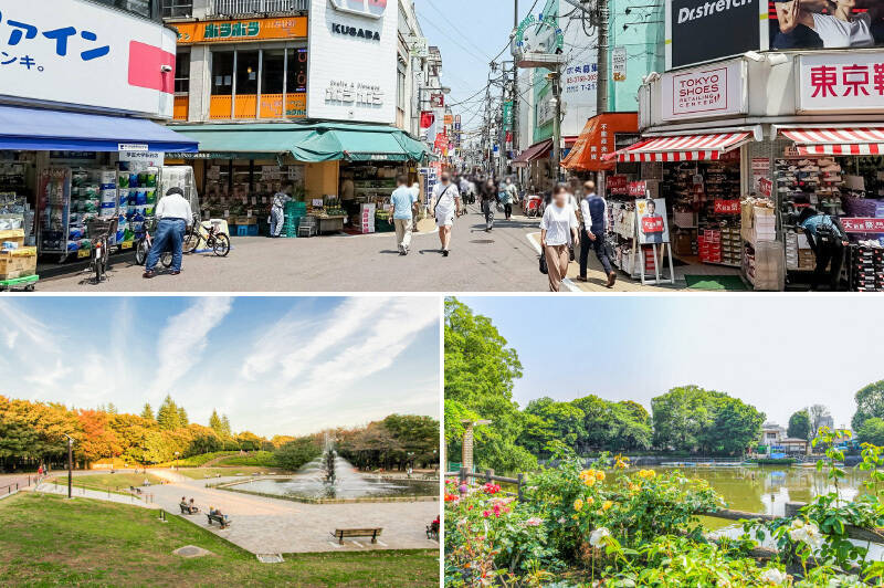 <b>上・</b>最寄りは東横線の「学芸大学」駅（徒歩12分）。／<b>左下・</b>大きな噴水広場があり、園内をSLが走る「世田谷公園」。（徒歩13分）／<b>右下・</b>スワンボートが泳ぐ池のほか、動物広場もある「碑文谷公園」。（徒歩14分）