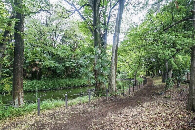 都立「松沢公園」の敷地内に整備されている自然豊かな「将軍池広場」。その名の通り「将軍池」が敷地奥にあり、水辺散歩道も♪ お子さま大喜びの水遊びができるエリアもあります。（徒歩13分）