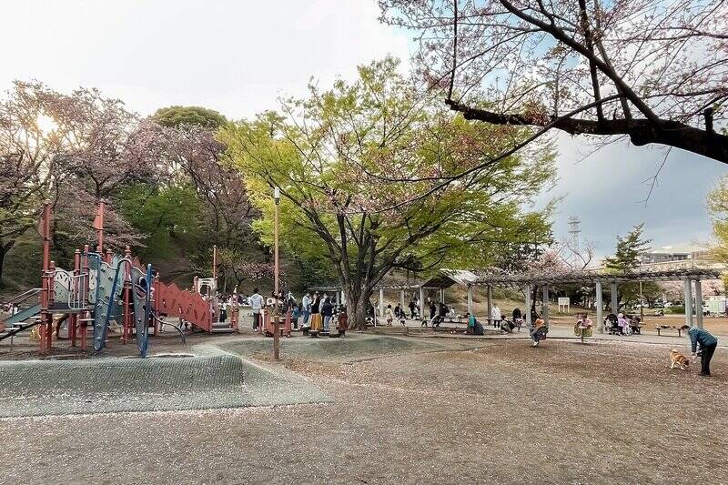 「梶が谷第１公園」は遊具や広場、じゃぶじゃぶ池などある大きな公園です。春は桜がきれいですよ。（徒歩９分）