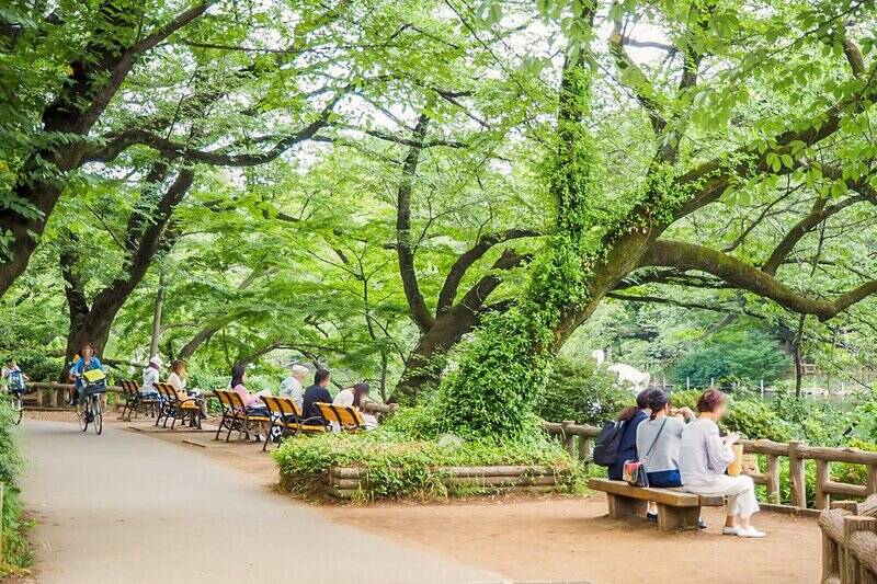 マンションから「吉祥寺」駅まで徒歩３分。さらに「井の頭恩賜公園」にも徒歩４分。吉祥寺ど真ん中とも言える環境が、今回の舞台です！