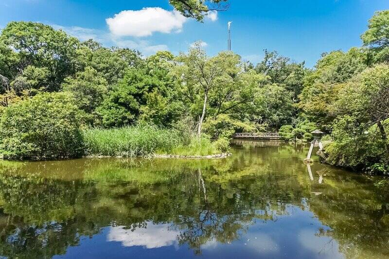 日本らしい趣を感じられるこちらは「有栖川宮記念公園（徒歩９分）」。マンションから歩いて行ける自然豊かなスポットです。「東京都立中央図書館」（徒歩10分）が隣接しているので、お散歩のあとに読書をすることも◎