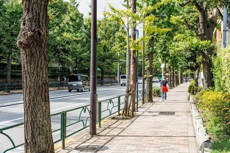 「学習院大学」のキャンパスがある目白通りの風景。交通量は比較的多いものの、緑が多く文京地区ならではの落ち着きを感じます。記事後半では街に残る昔ながらの魅力もご紹介しますのでお見逃しなく！