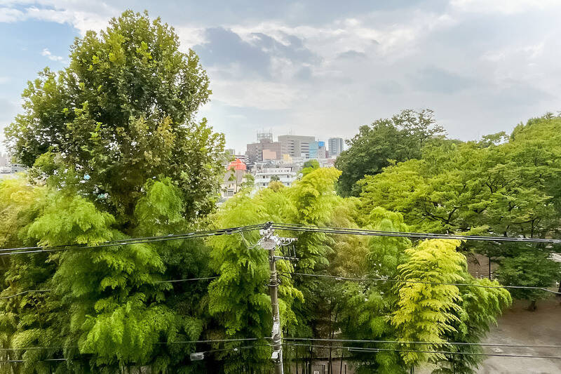 ５階所在の住戸からは、モリモリのグリーンビュー。正体はマンション前にある「東板橋公園」の木々です。