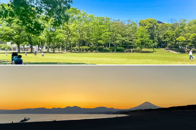 <b>上・</b>「第一カッターきいろ公園（中央公園）」は四季折々の草花が楽しめる癒しのスポット。広場では子どもが思い切り走りまわれます。（徒歩９分）／<b>下・</b>最後にビーチの夕日をお届け。沁みます……。