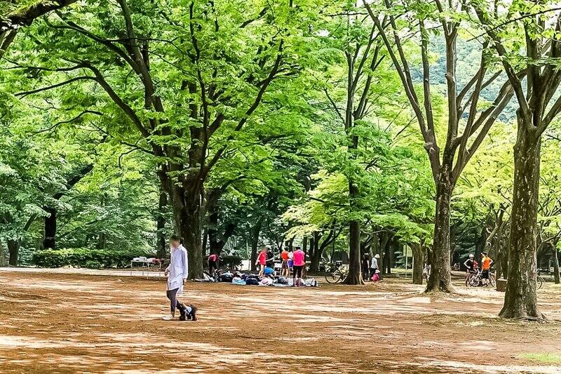 そして少し足を延ばせば、緑豊かな「代々木公園」にも行けちゃったり♪ 園内には登録制のドッグランがあるので、愛犬とのお出かけにもオススメ！（徒歩15分）