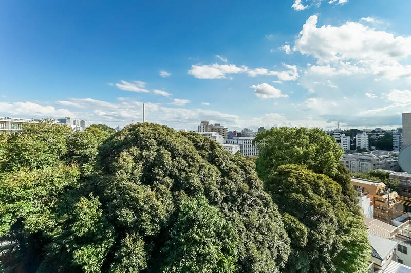 目の前に広がる豊かな緑。近くに高い建物が無く、遠くまで見渡せます。