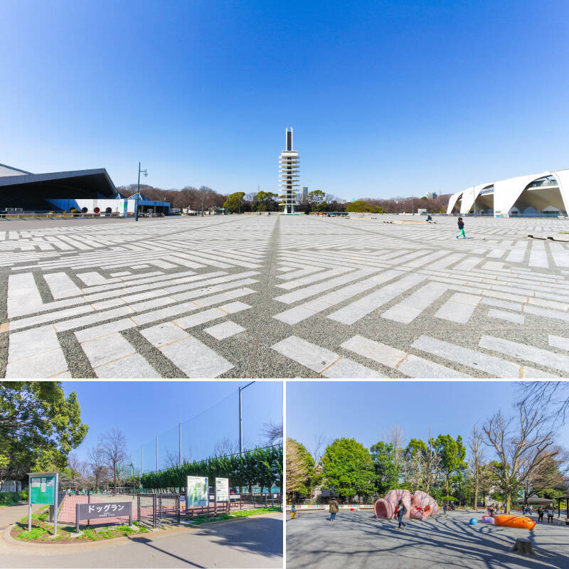 気分転換やお散歩なら「駒沢オリンピック公園」へ。ペットと一緒に遊べるドッグランやお子さまとはしゃげる自由広場など、設備が充実しています。（徒歩10分）