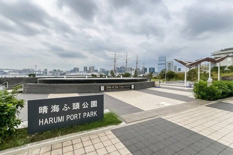 自然に触れたくなったら「晴海ふ頭公園」へ。芝生の広場でゆったりとくつろいだり、海辺で黄昏れたりするのも気持ちよさそう。官庁船バースには、帆船が停まっていることも。売主さまもよく訪れているそうですよ。（徒歩９分）