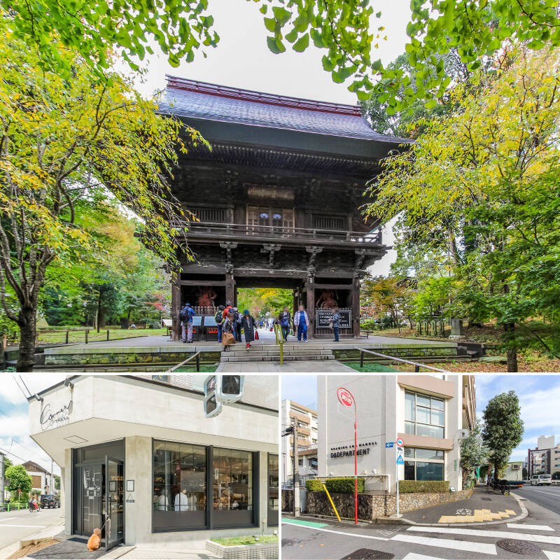 <b>上・</b>「九品仏」のシンボル「浄真寺」は、驚くほど駅近にある癒しスポット。秋はまるで京都のような景色になるんですよ♡（徒歩６分）／<b>左下・</b>パン好きならきっとご存知の、世界一の称号を持つ大澤シェフのベーカリー「Comme’N TOKYO（コム・ン トーキョー）」。実はここ「九品仏」にあるんです。（徒歩５分）／<b>右下・</b>環八沿いにある「D&amp;DEPARTMENT（ディーアンドデパートメント）」。地域性を重視し長く愛され、使われ続けるモノを選定して取り扱うライフスタイルショップです。眺めているだけでときめくので、パトロールが日課になりそう。（徒歩８分）