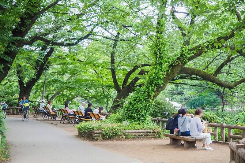 「井の頭恩賜公園」はマンションから歩いて５分。ちょっと一息つきたくなったらベンチに座って、自然に癒されてみてはいかがでしょうか。