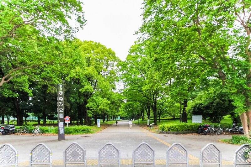 美術館のある「砧公園」。豊かな緑に囲まれた都内の癒しスポットです。春にはお花見スポットとしても賑わいます。（徒歩14分）