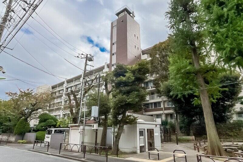 1967年築・総戸数84戸のマンション。敷地内の植栽だけでなく、隣接する公園も借景にする緑に恵まれた立地です。