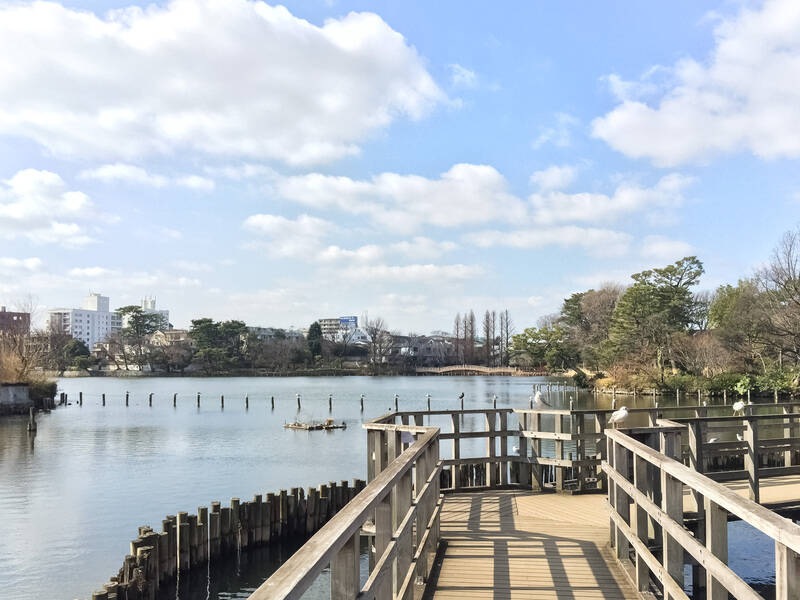 気分をリフレッシュしたくなったら「洗足池公園」へ。豊かな緑と大きな池の水面を眺めているだけで癒されます。（徒歩12分）