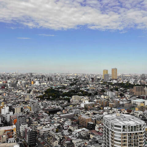 ルネッサンスタワー上野池之端の室内写真